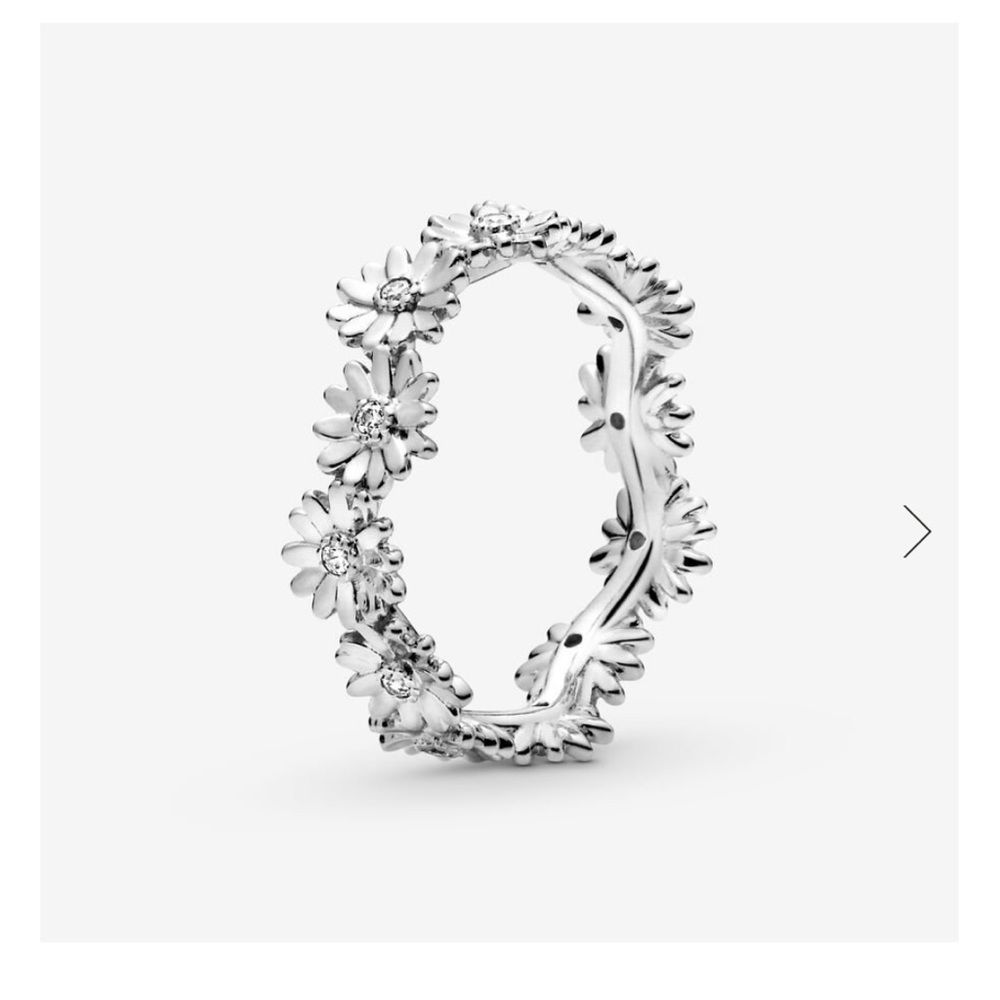 Pandora Ring Bundle with dust bags, and charm lock opener with cleaning brush - Picture 8 of 11